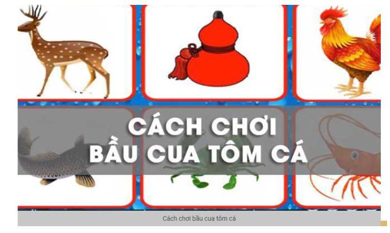 Các hình ảnh quen thuộc trong bầu cua 